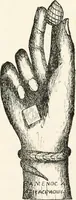 Picture 113 of 134 from Horns of honour : and other studies in the by-ways of archaeology (1900), leaf 278