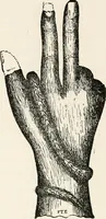Picture 117 of 134 from Horns of honour : and other studies in the by-ways of archaeology (1900), leaf 281
