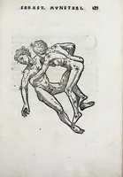 Picture 28 of 46 from Horologiographia (1533), leaf 253