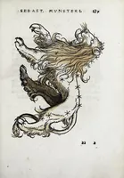 Picture 29 of 46 from Horologiographia (1533), leaf 257