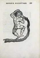Picture 31 of 46 from Horologiographia (1533), leaf 269