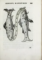 An illustration from Horologiographia (1533)