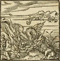 An illustration from Horou Apollonos neiloou Hieroglyphika = Ori Apollinis niliaci, De sacris notis & sculpturis libri duo (1551)