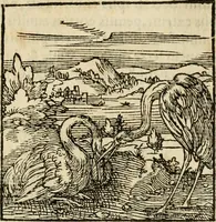 An illustration from Horou Apollonos neiloou Hieroglyphika = Ori Apollinis niliaci, De sacris notis & sculpturis libri duo (1551)