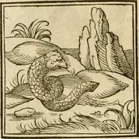 An illustration from Horou Apollonos neiloou Hieroglyphika = Ori Apollinis niliaci, De sacris notis & sculpturis libri duo (1551)