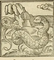 An illustration from Horou Apollonos neiloou Hieroglyphika = Ori Apollinis niliaci, De sacris notis & sculpturis libri duo (1551)