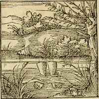 An illustration from Horou Apollonos neiloou Hieroglyphika = Ori Apollinis niliaci, De sacris notis & sculpturis libri duo (1551)