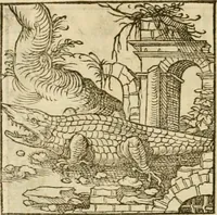 An illustration from Horou Apollonos neiloou Hieroglyphika = Ori Apollinis niliaci, De sacris notis & sculpturis libri duo (1551)