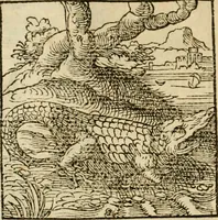 An illustration from Horou Apollonos neiloou Hieroglyphika = Ori Apollinis niliaci, De sacris notis & sculpturis libri duo (1551)