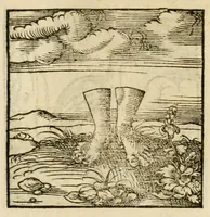 Picture 82 of 220 from Horou Apollonos neiloou Hieroglyphika = Ori Apollinis niliaci, De sacris notis & sculpturis libri duo (1551), leaf 124