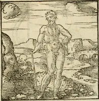 An illustration from Horou Apollonos neiloou Hieroglyphika = Ori Apollinis niliaci, De sacris notis & sculpturis libri duo (1551)