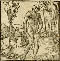 An illustration from Horou Apollonos neiloou Hieroglyphika = Ori Apollinis niliaci, De sacris notis & sculpturis libri duo (1551)