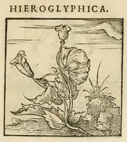 An illustration from Horou Apollonos neiloou Hieroglyphika = Ori Apollinis niliaci, De sacris notis & sculpturis libri duo (1551)