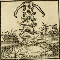 An illustration from Horou Apollonos neiloou Hieroglyphika = Ori Apollinis niliaci, De sacris notis & sculpturis libri duo (1551)