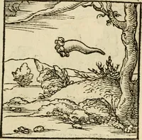 An illustration from Horou Apollonos neiloou Hieroglyphika = Ori Apollinis niliaci, De sacris notis & sculpturis libri duo (1551)