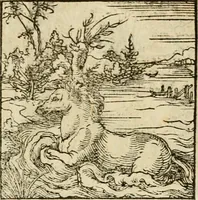 An illustration from Horou Apollonos neiloou Hieroglyphika = Ori Apollinis niliaci, De sacris notis & sculpturis libri duo (1551)
