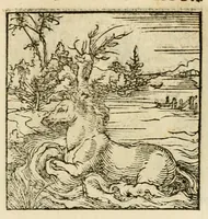 An illustration from Horou Apollonos neiloou Hieroglyphika = Ori Apollinis niliaci, De sacris notis & sculpturis libri duo (1551)