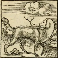 An illustration from Horou Apollonos neiloou Hieroglyphika = Ori Apollinis niliaci, De sacris notis & sculpturis libri duo (1551)