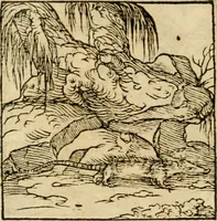 An illustration from Horou Apollonos neiloou Hieroglyphika = Ori Apollinis niliaci, De sacris notis & sculpturis libri duo (1551)