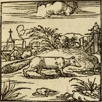 An illustration from Horou Apollonos neiloou Hieroglyphika = Ori Apollinis niliaci, De sacris notis & sculpturis libri duo (1551)