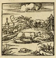 An illustration from Horou Apollonos neiloou Hieroglyphika = Ori Apollinis niliaci, De sacris notis & sculpturis libri duo (1551)