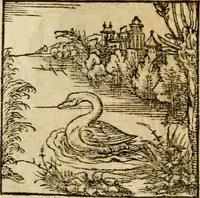 An illustration from Horou Apollonos neiloou Hieroglyphika = Ori Apollinis niliaci, De sacris notis & sculpturis libri duo (1551)
