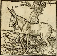 An illustration from Horou Apollonos neiloou Hieroglyphika = Ori Apollinis niliaci, De sacris notis & sculpturis libri duo (1551)