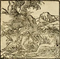 An illustration from Horou Apollonos neiloou Hieroglyphika = Ori Apollinis niliaci, De sacris notis & sculpturis libri duo (1551)