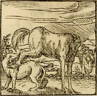 An illustration from Horou Apollonos neiloou Hieroglyphika = Ori Apollinis niliaci, De sacris notis & sculpturis libri duo (1551)