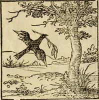 An illustration from Horou Apollonos neiloou Hieroglyphika = Ori Apollinis niliaci, De sacris notis & sculpturis libri duo (1551)