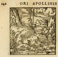Picture 132 of 220 from Horou Apollonos neiloou Hieroglyphika = Ori Apollinis niliaci, De sacris notis & sculpturis libri duo (1551), leaf 168