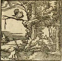 An illustration from Horou Apollonos neiloou Hieroglyphika = Ori Apollinis niliaci, De sacris notis & sculpturis libri duo (1551)