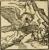 An illustration from Horou Apollonos neiloou Hieroglyphika = Ori Apollinis niliaci, De sacris notis & sculpturis libri duo (1551)