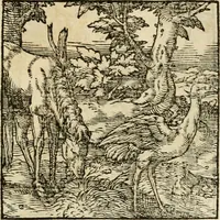 An illustration from Horou Apollonos neiloou Hieroglyphika = Ori Apollinis niliaci, De sacris notis & sculpturis libri duo (1551)