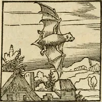 An illustration from Horou Apollonos neiloou Hieroglyphika = Ori Apollinis niliaci, De sacris notis & sculpturis libri duo (1551)