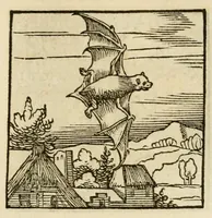 Picture 138 of 220 from Horou Apollonos neiloou Hieroglyphika = Ori Apollinis niliaci, De sacris notis & sculpturis libri duo (1551), leaf 173