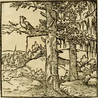 An illustration from Horou Apollonos neiloou Hieroglyphika = Ori Apollinis niliaci, De sacris notis & sculpturis libri duo (1551)