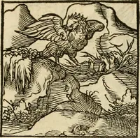 An illustration from Horou Apollonos neiloou Hieroglyphika = Ori Apollinis niliaci, De sacris notis & sculpturis libri duo (1551)