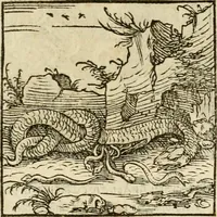 An illustration from Horou Apollonos neiloou Hieroglyphika = Ori Apollinis niliaci, De sacris notis & sculpturis libri duo (1551)