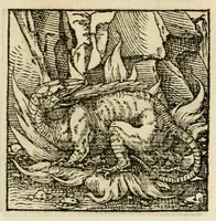 An illustration from Horou Apollonos neiloou Hieroglyphika = Ori Apollinis niliaci, De sacris notis & sculpturis libri duo (1551)