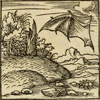 An illustration from Horou Apollonos neiloou Hieroglyphika = Ori Apollinis niliaci, De sacris notis & sculpturis libri duo (1551)