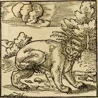 An illustration from Horou Apollonos neiloou Hieroglyphika = Ori Apollinis niliaci, De sacris notis & sculpturis libri duo (1551)
