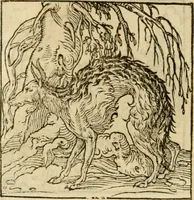An illustration from Horou Apollonos neiloou Hieroglyphika = Ori Apollinis niliaci, De sacris notis & sculpturis libri duo (1551)