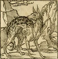 An illustration from Horou Apollonos neiloou Hieroglyphika = Ori Apollinis niliaci, De sacris notis & sculpturis libri duo (1551)