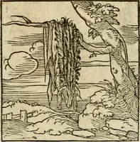 An illustration from Horou Apollonos neiloou Hieroglyphika = Ori Apollinis niliaci, De sacris notis & sculpturis libri duo (1551)