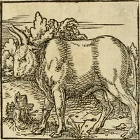 An illustration from Horou Apollonos neiloou Hieroglyphika = Ori Apollinis niliaci, De sacris notis & sculpturis libri duo (1551)