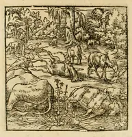 An illustration from Horou Apollonos neiloou Hieroglyphika = Ori Apollinis niliaci, De sacris notis & sculpturis libri duo (1551)