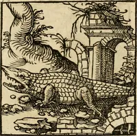 An illustration from Horou Apollonos neiloou Hieroglyphika = Ori Apollinis niliaci, De sacris notis & sculpturis libri duo (1551)