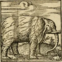 An illustration from Horou Apollonos neiloou Hieroglyphika = Ori Apollinis niliaci, De sacris notis & sculpturis libri duo (1551)