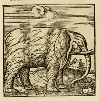 An illustration from Horou Apollonos neiloou Hieroglyphika = Ori Apollinis niliaci, De sacris notis & sculpturis libri duo (1551)